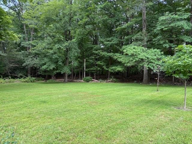 34 Mount Airy Rd E, Croton-On-Hudson, NY 10520 - photo 5