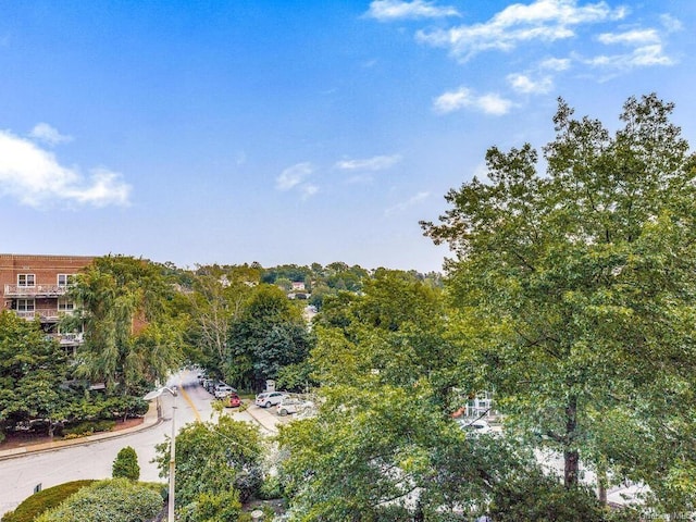 7 Balint Dr Unit 418, Yonkers, NY 10710 - photo 12