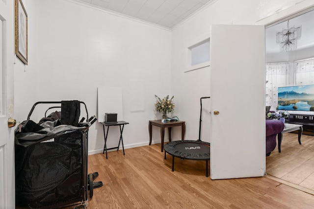 14 E 31st St, Brooklyn, NY 11226 - photo 6