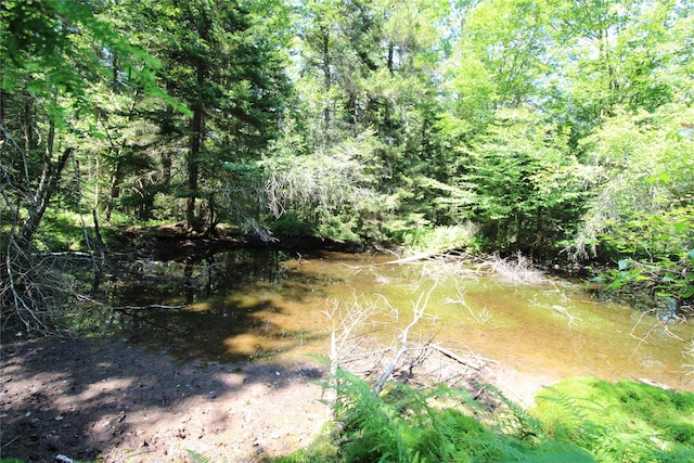 834 Cooley Rd, Parksville, NY 12768 - photo 15