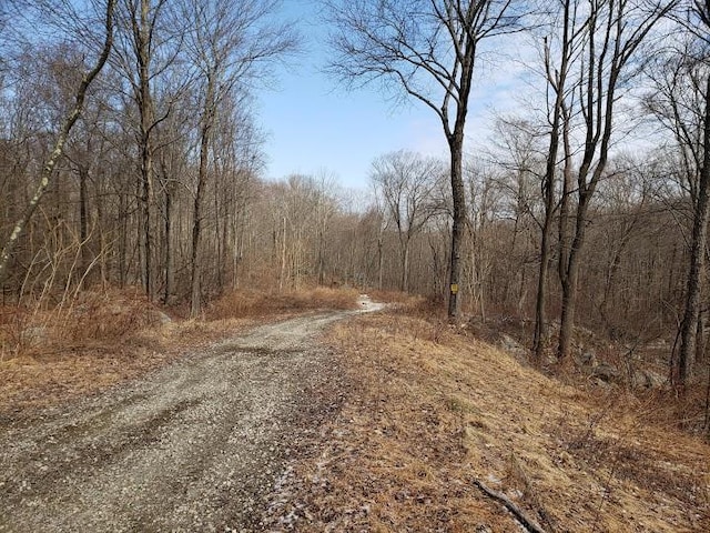 S White Rock Rd, Holmes NY, 12531 land for sale