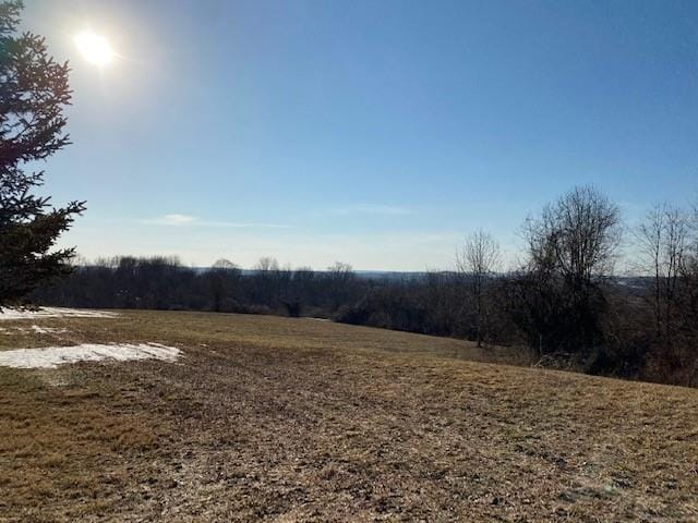 LOT69.31 Liberty Corners Rd, Pine Island, NY 10969 - photo 6