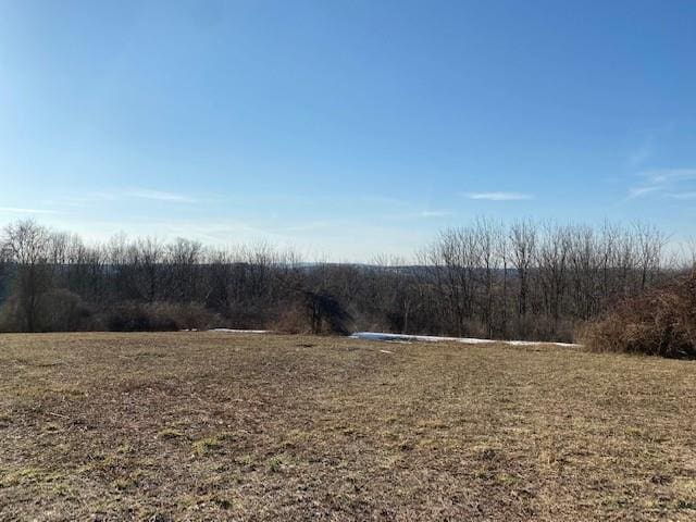 LOT69.31 Liberty Corners Rd, Pine Island, NY 10969 - photo 7