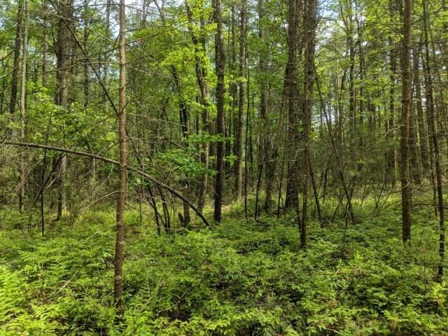 Loch Ada Rd, Glen Spey NY, 12737 land for sale