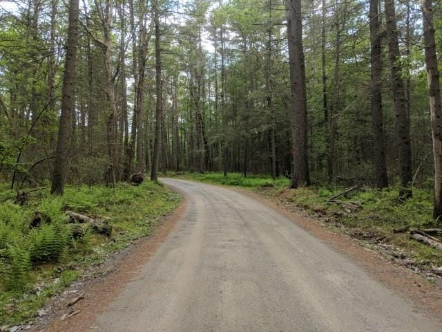 Listing photo 3 for Loch Ada Rd, Glen Spey NY 12737