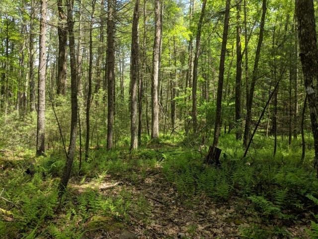 Haring Rd, Glen Spey NY, 12737 land for sale