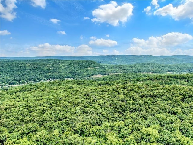 Pine Hill Rd, Tuxedo Park NY, 10987 land for sale