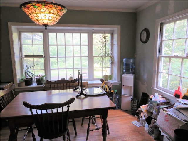 dining space featuring light hardwood / wood-style floors and ornamental molding