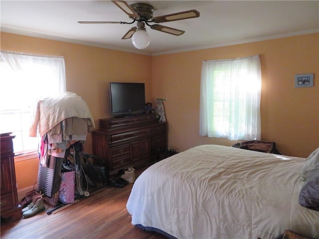 bedroom featuring multiple windows, ceiling fan, crown molding, and hardwood / wood-style flooring