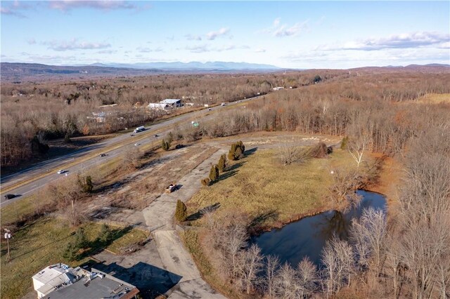 403 Main St, New Paltz, NY 12561 - photo 4