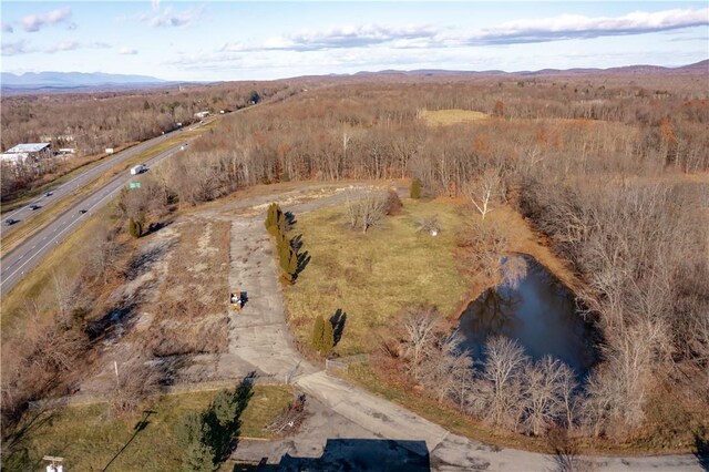 403 Main St, New Paltz, NY 12561 - photo 5