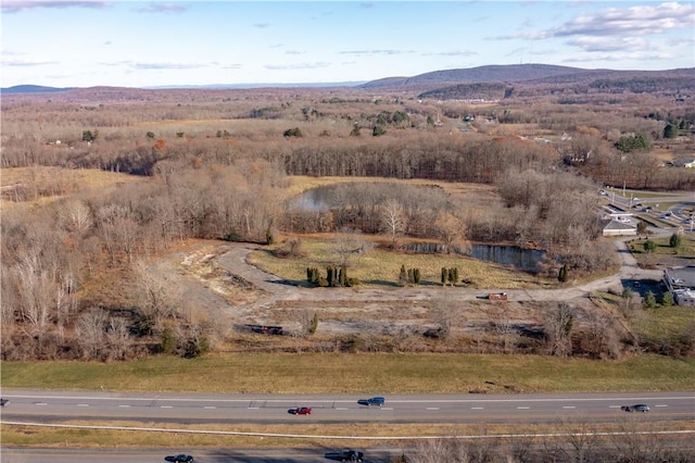 403 Main St, New Paltz, NY 12561 - photo 7