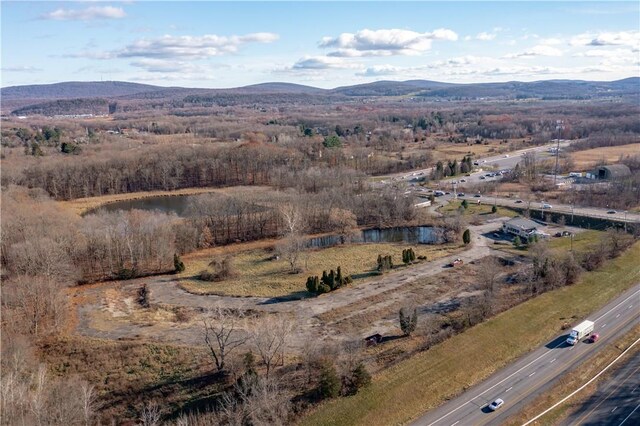 403 Main St, New Paltz, NY 12561 - photo 8