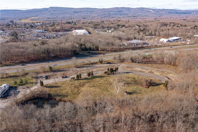 403 Main St, New Paltz, NY 12561 - photo 11