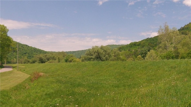 Old Mill Rd, East Branch NY, 13756 land for sale