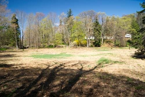 Listing photo 3 for 182 Tuxedo Rd, Tuxedo Park NY 10987