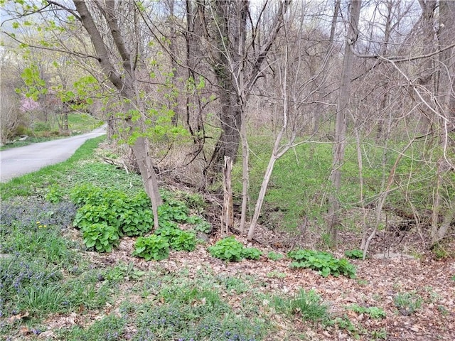 29 Fowler Ave, Cortlandt Manor, NY 10567 - photo 2