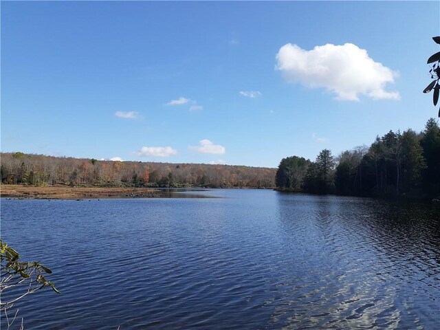 351 White Roe Lake Rd, Livingston Manor, NY 12758