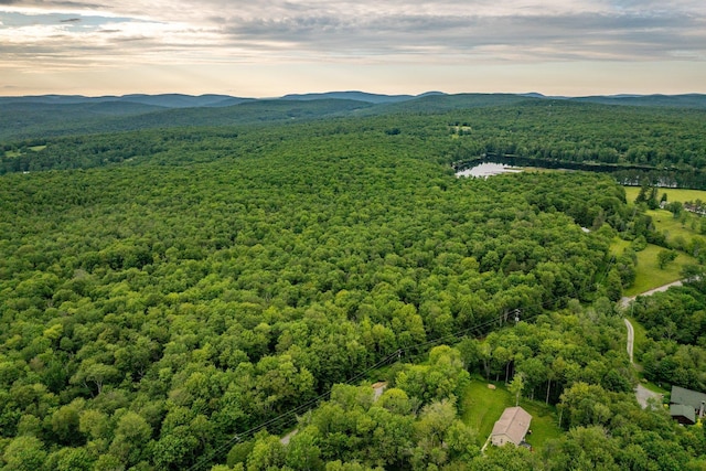 351 White Roe Lake Rd, Livingston Manor, NY 12758