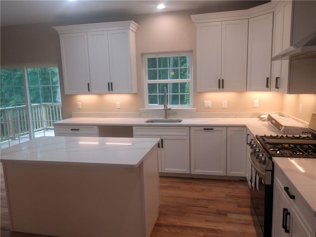 kitchen with high end stove, sink, white cabinets, and wood-type flooring