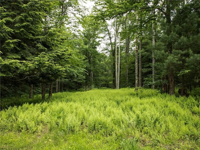 Listing photo 3 for Lot4 Chapin Trail, Bethel NY 12720