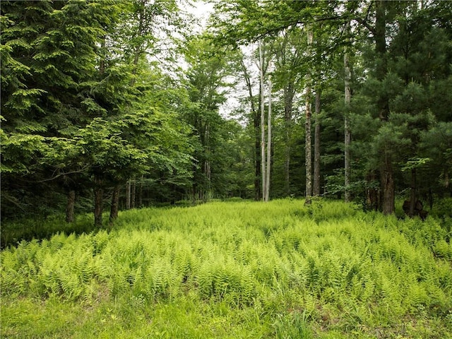 Lot4 Chapin Trail, Bethel, NY 12720 - photo 2