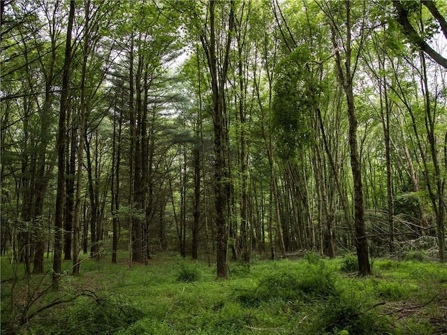 Lot4 Chapin Trail, Bethel, NY 12720 - photo 3