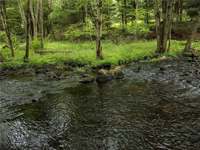 Lot4 Chapin Trail, Bethel, NY 12720 - photo 4