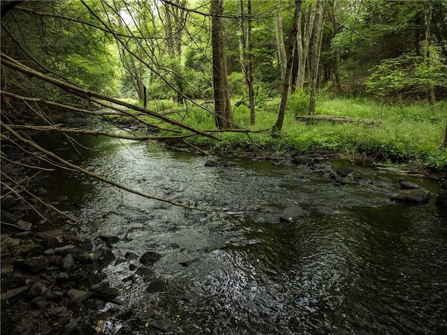 Lot4 Chapin Trail, Bethel, NY 12720 - photo 5