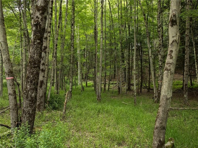 Lot4 Chapin Trail, Bethel, NY 12720 - photo 6