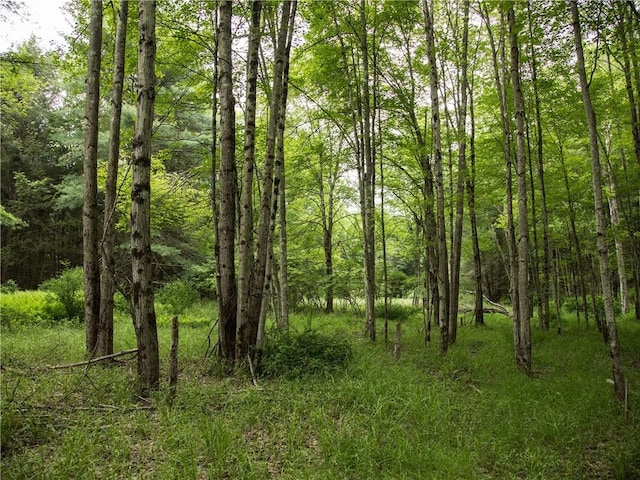 Lot4 Chapin Trail, Bethel, NY 12720 - photo 8