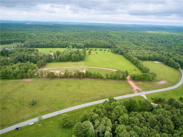 Lot4 Chapin Trail, Bethel, NY 12720 - photo 11