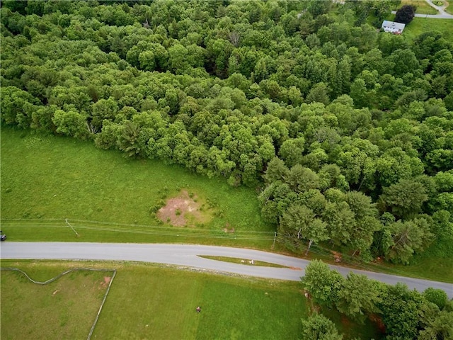 Lot4 Chapin Trail, Bethel, NY 12720 - photo 13