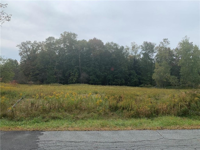 Krum Rd Tr 77, Fallsburg NY, 12733 land for sale