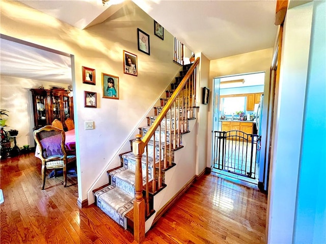 staircase featuring wood-type flooring