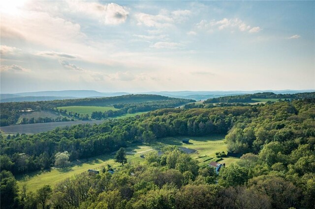5 Homestead Farm Ln, Millerton, NY 12546 - photo 5