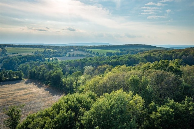 5 Homestead Farm Ln, Millerton NY, 12546 land for sale