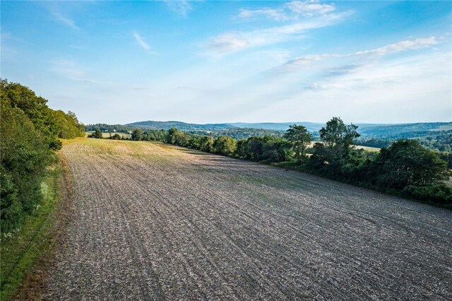 5 Homestead Farm Ln, Millerton, NY 12546 - photo 6