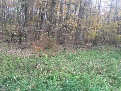 2452 Rte 52, Hopewell Junction, NY 12533 - photo 2