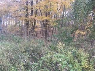 2452 Rte 52, Hopewell Junction, NY 12533 - photo 5