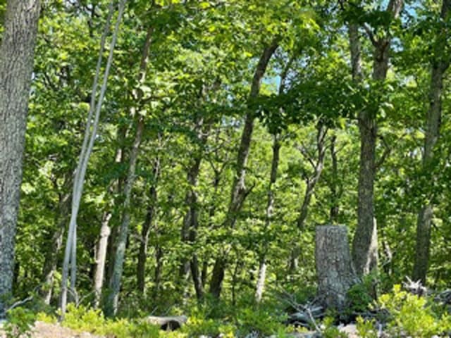 Rustic Hills Rd, Westbrookville NY, 12785 land for sale