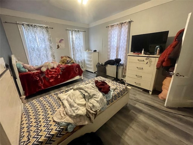 bedroom featuring dark hardwood / wood-style floors