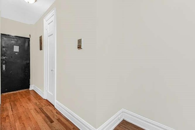 entryway featuring wood-type flooring