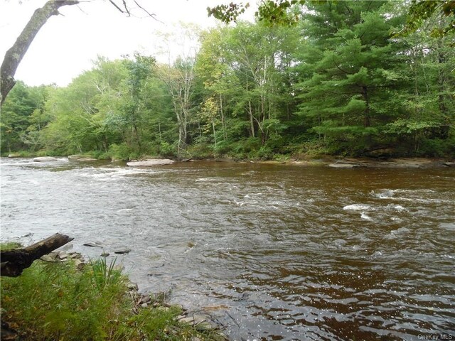 Plank Rd, Bethel, NY 12720