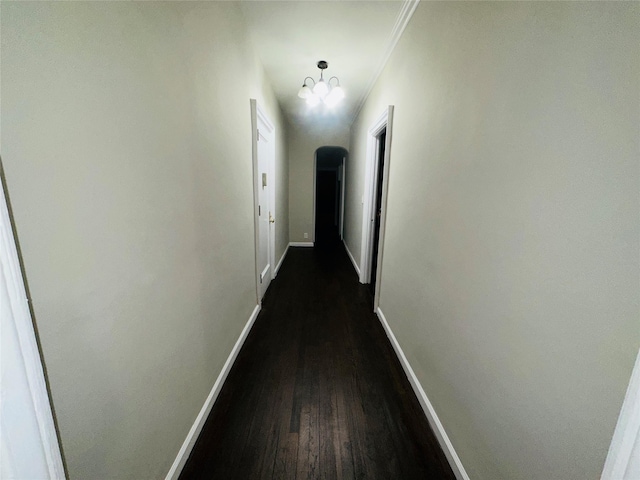 83-15 116th St Unit 1F, Richmond Hill, NY 11418 - photo 10