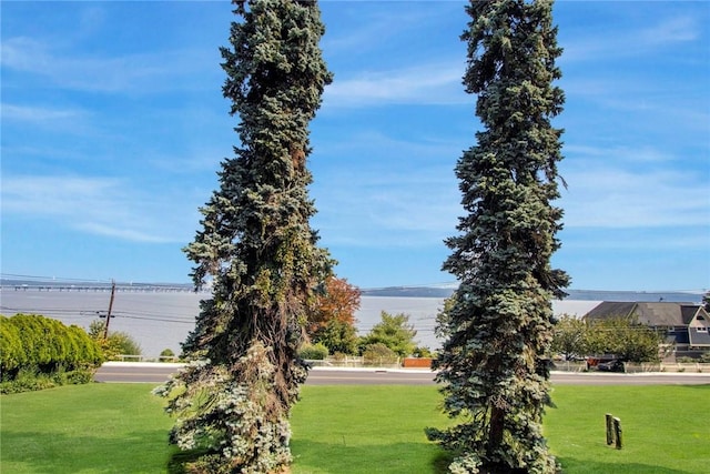 view of property's community featuring a lawn