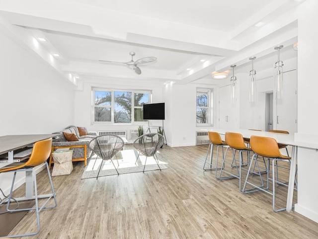 dining area with ceiling fan, light wood-type flooring, and radiator heating unit