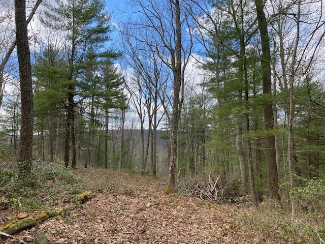 Magnolia Dr, Glen Spey NY, 12737 land for sale