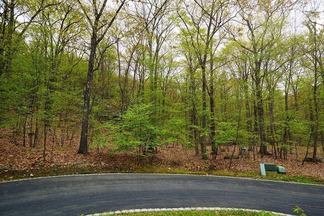 7 Springhouse Rd, Sloatsburg, NY 10974 - photo 4
