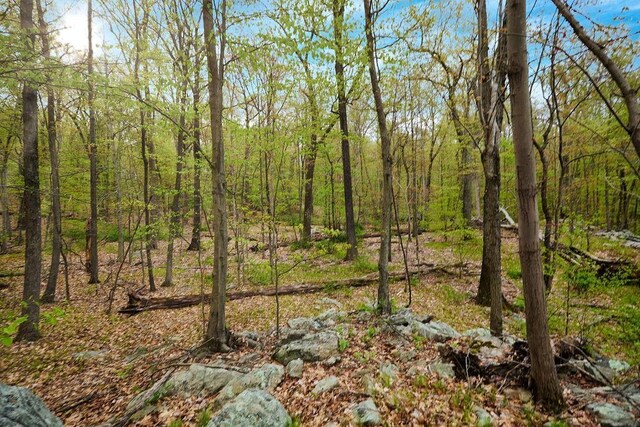 7 Springhouse Rd, Sloatsburg, NY 10974 - photo 6